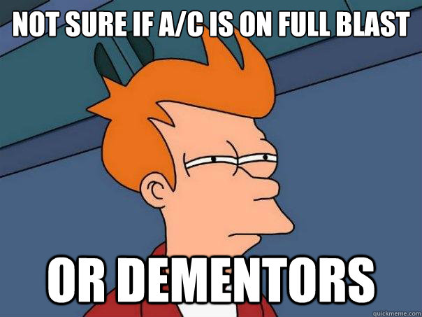 Not sure if A/C is on full blast or dementors - Not sure if A/C is on full blast or dementors  Futurama Fry