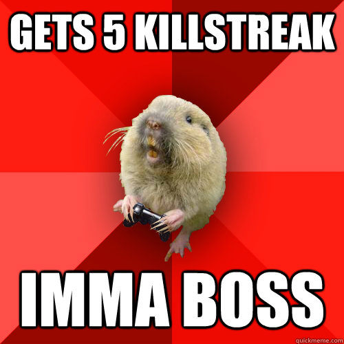 gets 5 killstreak imma boss  Gaming Gopher