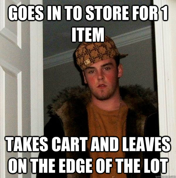 goes in to store for 1 item takes cart and leaves on the edge of the lot  Scumbag Steve