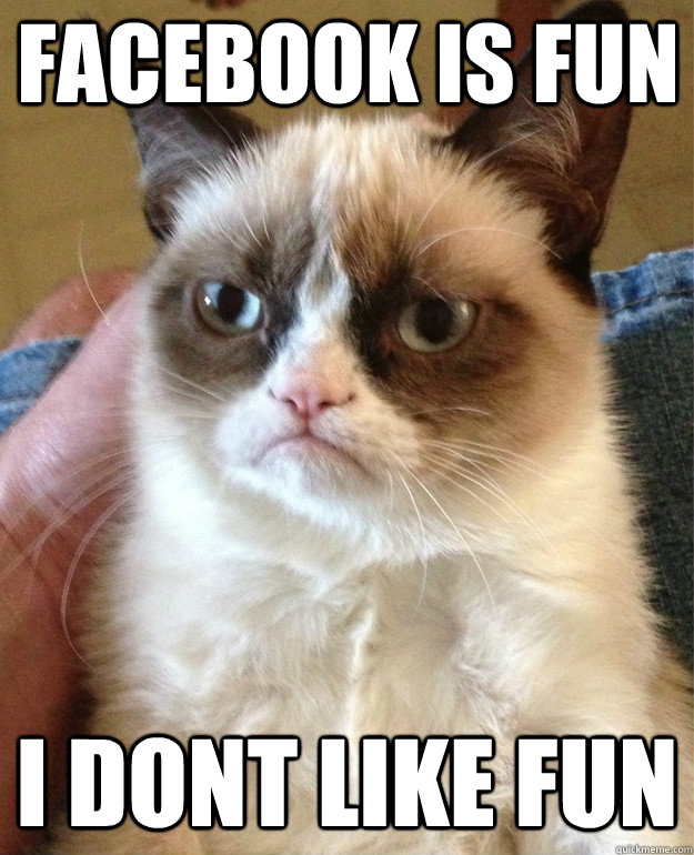 Facebook is fun I Dont like fun  Grumpy Cat