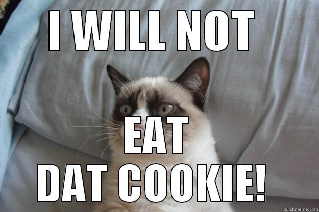 Don't care. - I WILL NOT  EAT DAT COOKIE!  Grumpy Cat