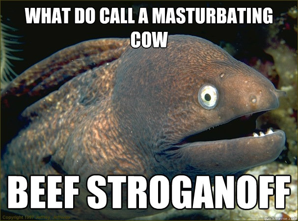 WHAT DO CALL A MASTURBATING COW BEEF STROGANOFF   Bad Joke Eel