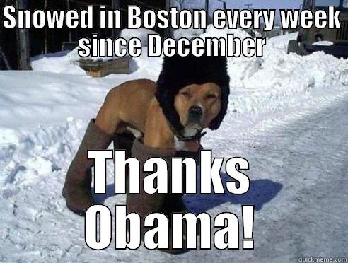 Boston Snow - SNOWED IN BOSTON EVERY WEEK SINCE DECEMBER THANKS OBAMA! Misc