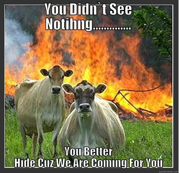 YOU DIDN`T SEE NOTIHNG.............. YOU BETTER HIDE CUZ WE ARE COMING FOR YOU Evil cows