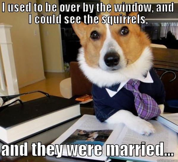 I USED TO BE OVER BY THE WINDOW, AND I COULD SEE THE SQUIRRELS,  AND THEY WERE MARRIED... Lawyer Dog