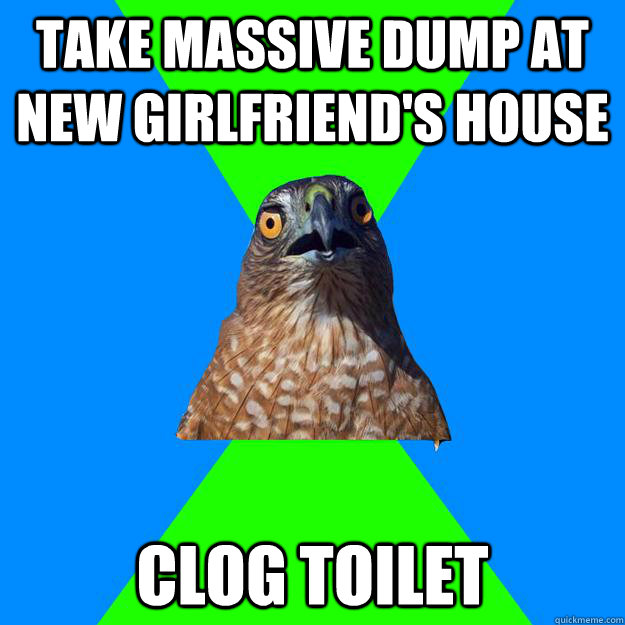 take massive dump at new girlfriend's house clog toilet  Hawkward