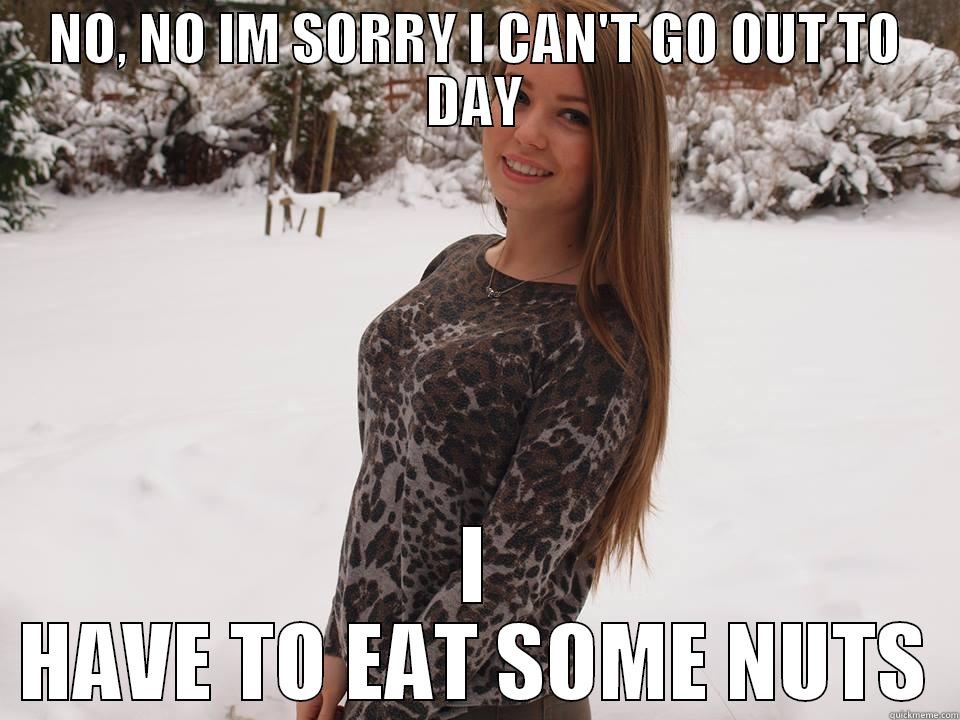 FUNNY MEME - NO, NO IM SORRY I CAN'T GO OUT TO DAY I HAVE TO EAT SOME NUTS Misc