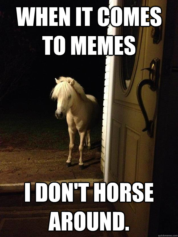 When it comes to memes I don't horse around. - When it comes to memes I don't horse around.  Punny Pony