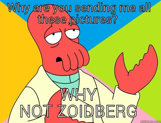 Why Rick ROLL when you can Zoidberg. - WHY ARE YOU SENDING ME ALL THESE PICTURES?  WHY NOT ZOIDBERG Futurama Zoidberg 