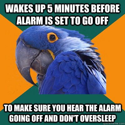 Wakes up 5 minutes before alarm is set to go off to make sure you hear the alarm going off and don't oversleep - Wakes up 5 minutes before alarm is set to go off to make sure you hear the alarm going off and don't oversleep  Paranoid Parrot