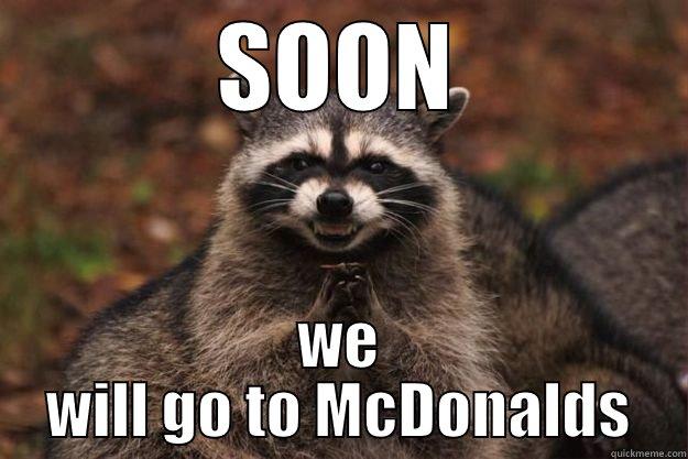 SOON WE WILL GO TO MCDONALDS Evil Plotting Raccoon