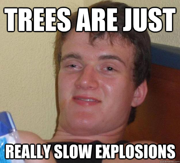 Trees are just really slow explosions  10 Guy