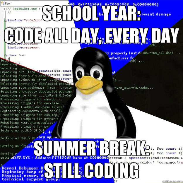 School Year:
Code all day, every day Summer break:
Still coding  Computer Science Penguin