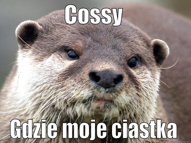 COSSY GDZIE MOJE CIASTKA Misc