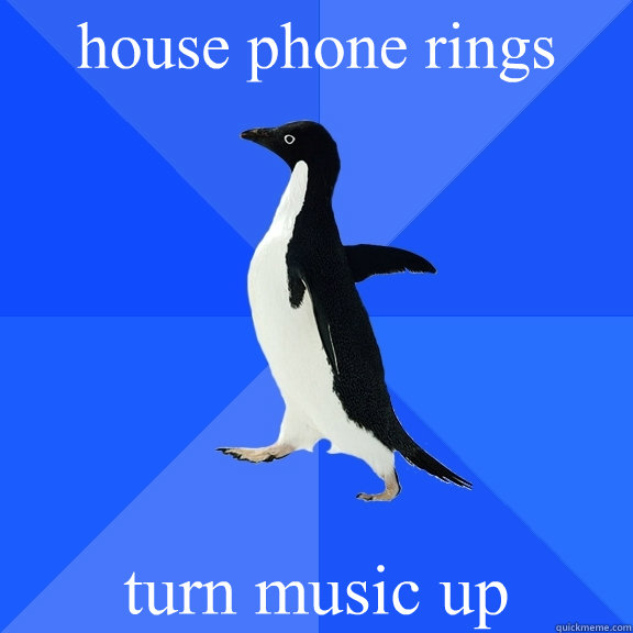 house phone rings turn music up - house phone rings turn music up  Socially Awkward Penguin