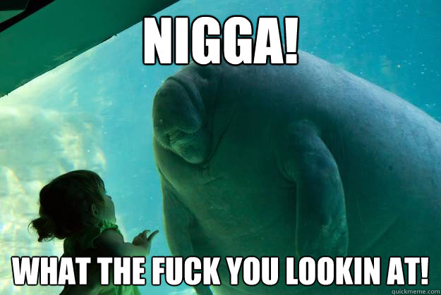 NIGGA! WHAT THE FUCK YOU LOOKIN AT!  Overlord Manatee