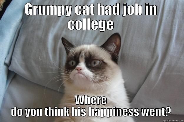 GRUMPY CAT HAD JOB IN COLLEGE WHERE DO YOU THINK HIS HAPPINESS WENT? Grumpy Cat