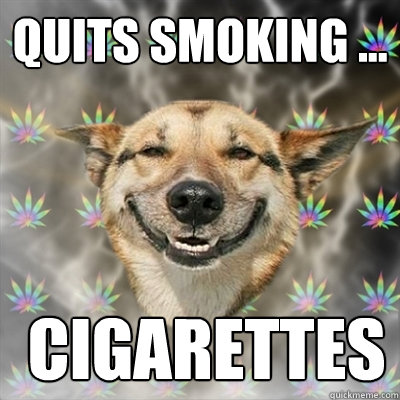 quits smoking ...  cigarettes  Stoner Dog