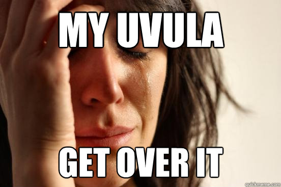 My uvula hurts Get over it  First World Problems