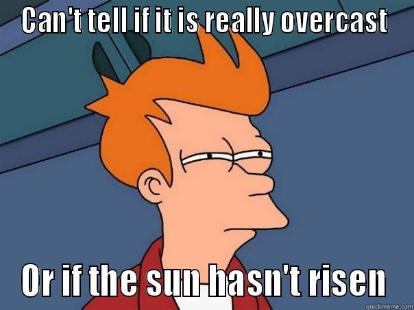 Clearly I'm Up Too Early - CAN'T TELL IF IT IS REALLY OVERCAST OR IF THE SUN HASN'T RISEN Futurama Fry