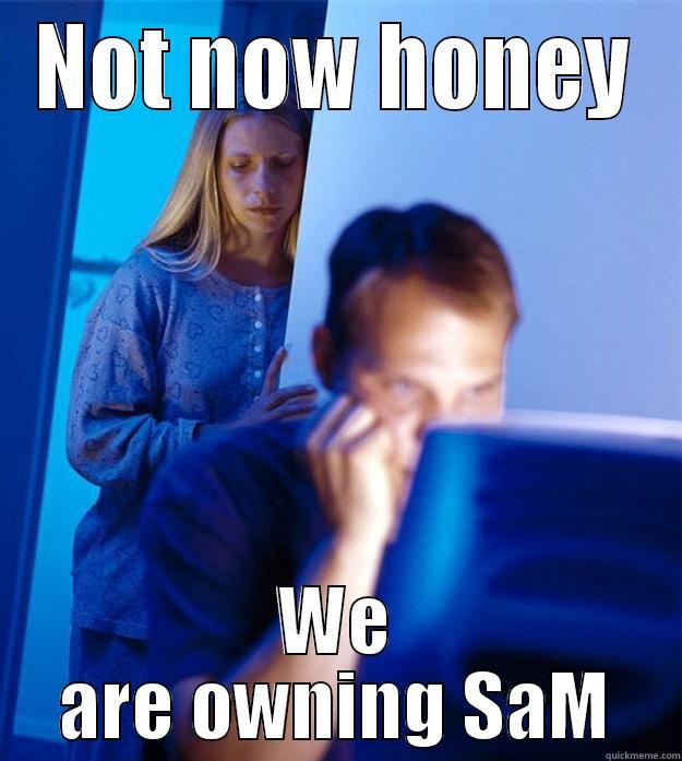 NOT NOW HONEY WE ARE OWNING SAM Redditors Wife