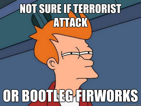 Not sure if terrorist attack Or bootleg firworks  Futurama Fry