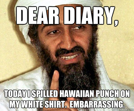 Dear Diary, Today I spilled Hawaiian Punch on my white shirt.  Embarrassing.  