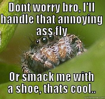 DONT WORRY BRO, I'LL HANDLE THAT ANNOYING ASS FLY OR SMACK ME WITH A SHOE, THATS COOL.. Misunderstood Spider