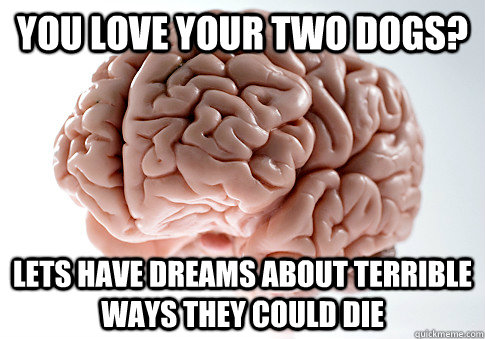 You love your two dogs? Lets have dreams about terrible ways they could die  Scumbag Brain