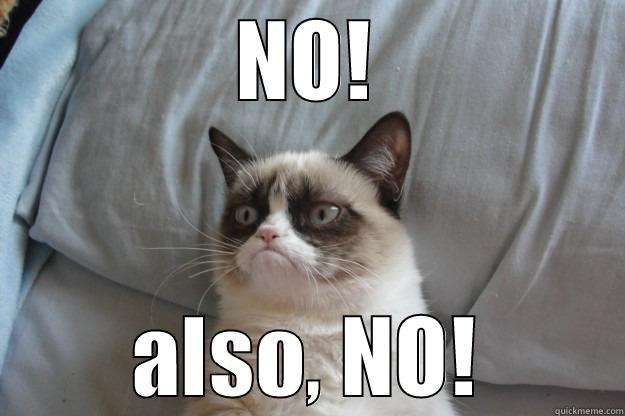 NO! ALSO, NO! Grumpy Cat