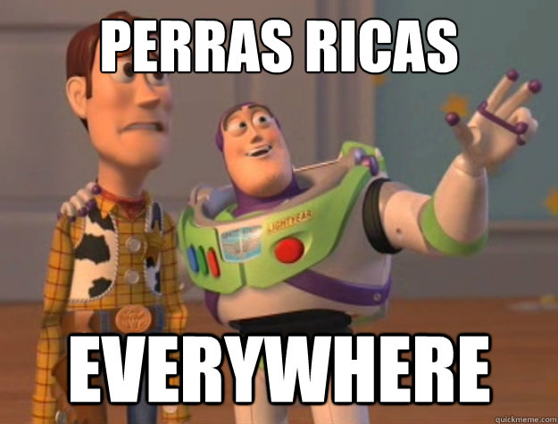 PERRAS RICAS everywhere  Buzz Lightyear