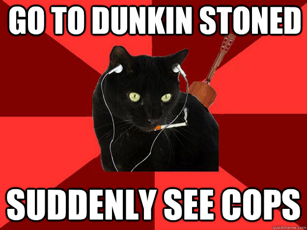 go to dunkin stoned suddenly see cops  Berklee Cat