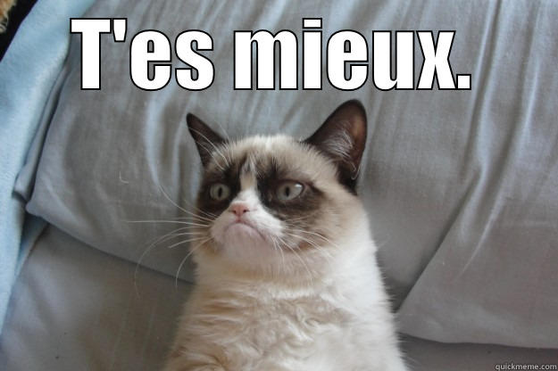 T'ES MIEUX.  Grumpy Cat