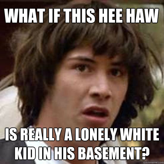 what if this hee haw is really a lonely white kid in his basement?  conspiracy keanu