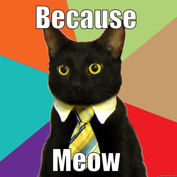 BECAUSE MEOW Business Cat