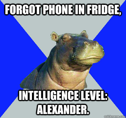 Forgot phone in fridge, Intelligence level: Alexander.  Skeptical Hippo