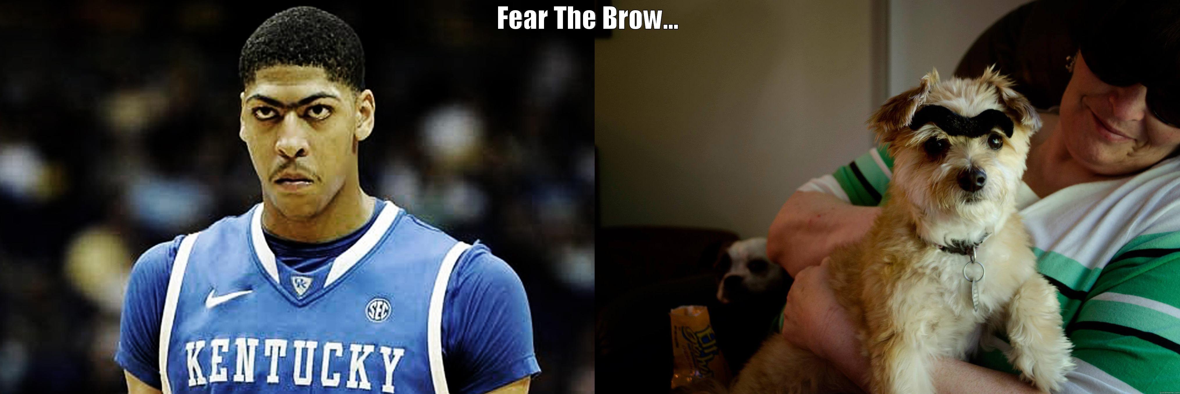 Fear the Brow... - FEAR THE BROW...  Misc