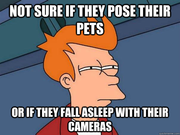 Not sure if they pose their pets or if they fall asleep with their cameras  Futurama Fry