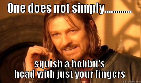 ONE DOES NOT SIMPLY............. SQUISH A HOBBIT'S HEAD WITH JUST YOUR FINGERS Boromir