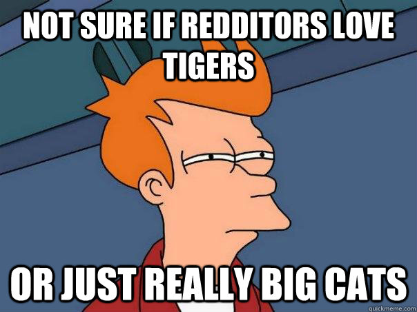 Not sure if redditors love tigers Or just really big cats - Not sure if redditors love tigers Or just really big cats  Futurama Fry