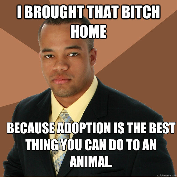 I brought that bitch home because adoption is the best thing you can do to an animal. - I brought that bitch home because adoption is the best thing you can do to an animal.  Successful Black Man