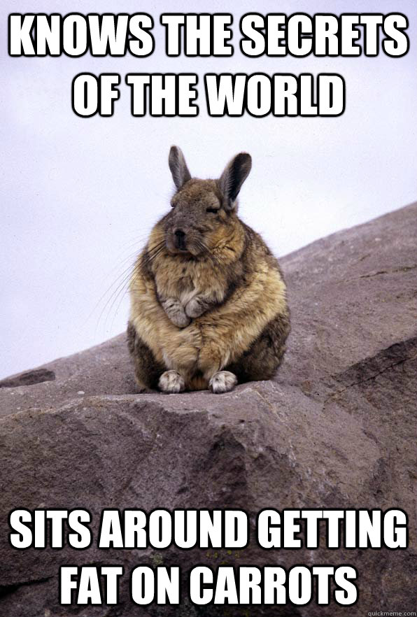 Knows the secrets of the world sits around getting fat on Carrots  Wise Wondering Viscacha