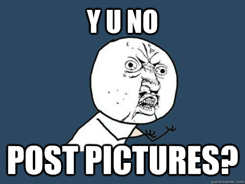 Y U NO Post pictures?   Y U No