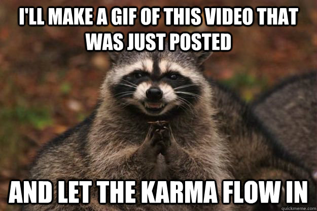 I'll make a gif of this video that was just posted and let the karma flow in - I'll make a gif of this video that was just posted and let the karma flow in  Evil Plotting Raccoon