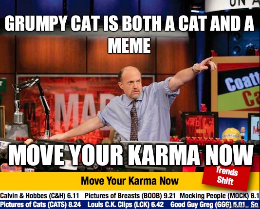 Grumpy Cat is both a cat and a meme move your karma now  Mad Karma with Jim Cramer