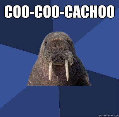 Coo-coo-cachoo   Web Developer Walrus