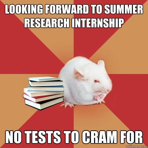 Looking forward to summer research internship No tests to cram for - Looking forward to summer research internship No tests to cram for  Science Major Mouse