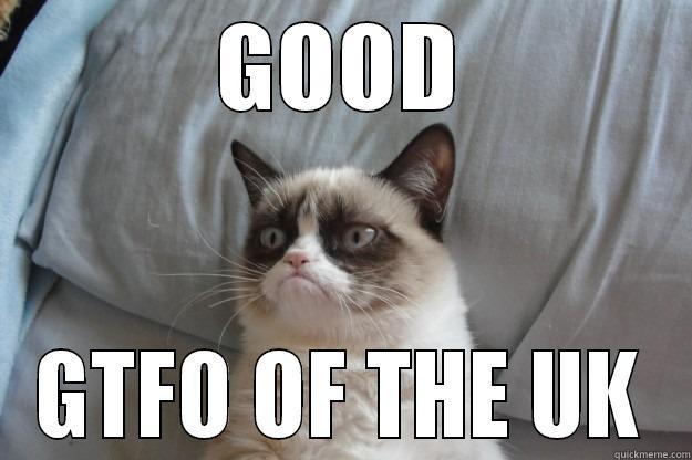 YOUR FACE DOESNT LOOK FUNNY ENOUGH - GOOD GTFO OF THE UK Grumpy Cat