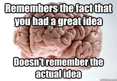 Remembers the fact that you had a great idea Doesn't remember the actual idea  Scumbag Brain