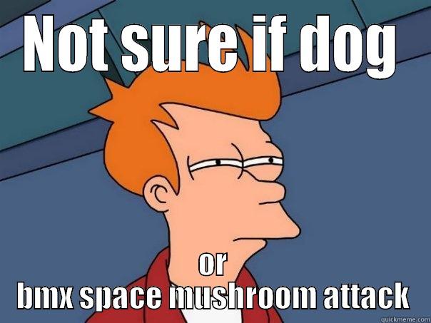 NOT SURE IF DOG OR BMX SPACE MUSHROOM ATTACK Futurama Fry